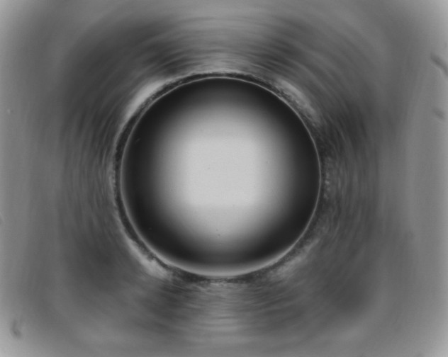 X0000095960942200801111359