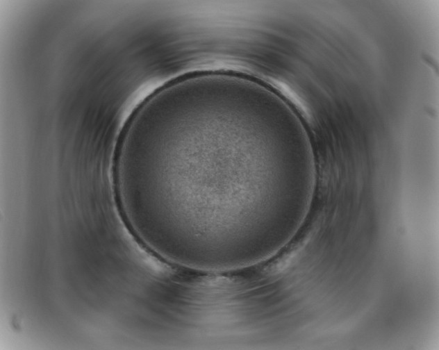 X0000095960943200801111359