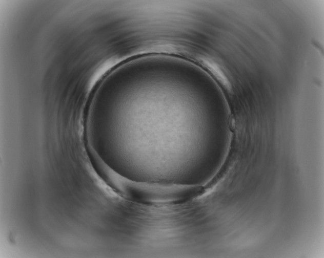 X0000095960944200801111359