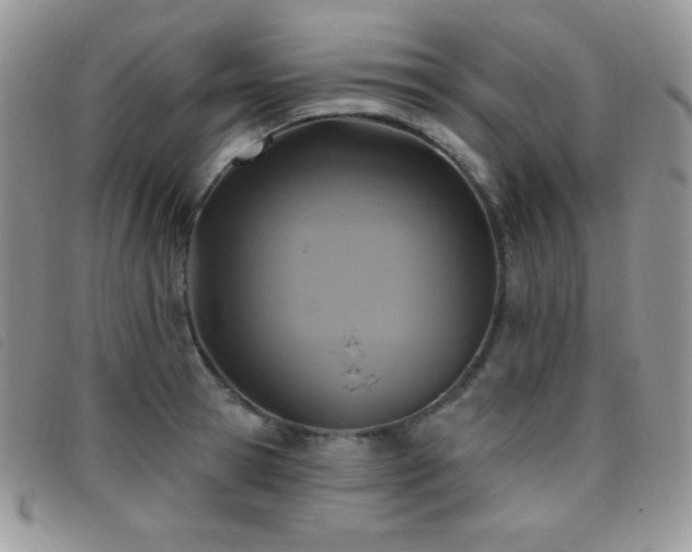 X0000095960945200801111359