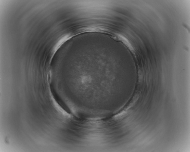 X0000095960946200801111359