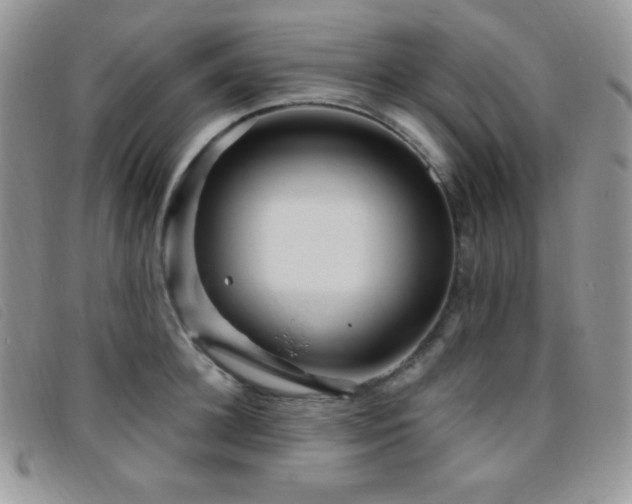 X0000095960948200801111359