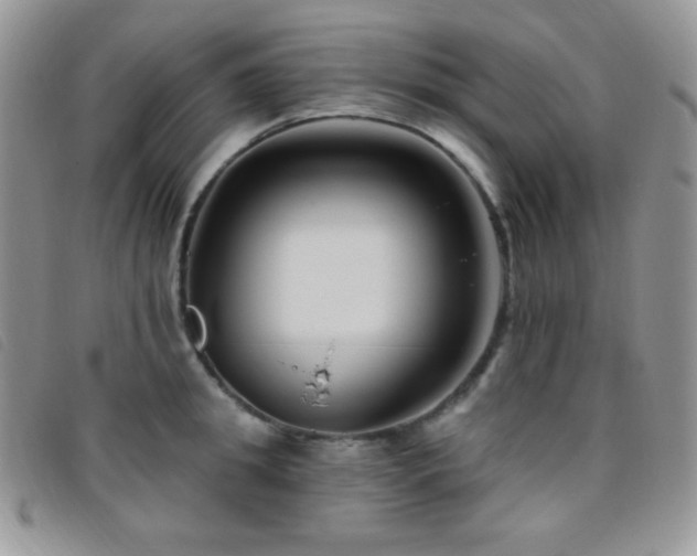 X0000095960949200801111359