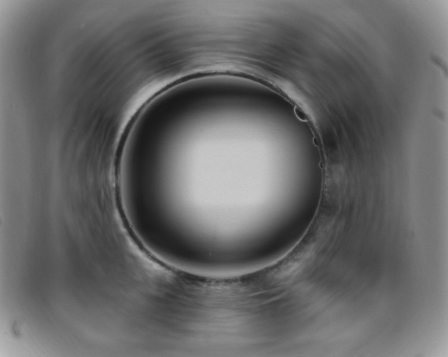 X0000095960951200801111359