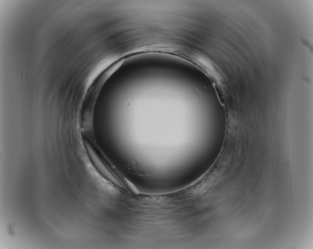 X0000095960952200801111359