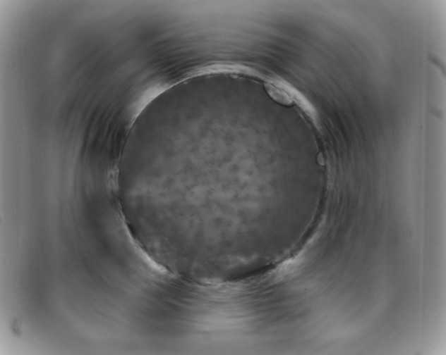 X0000095960953200801111359