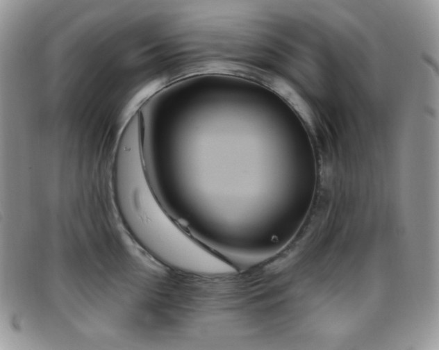 X0000095960954200801111359