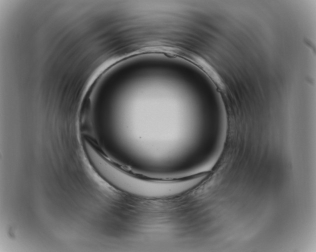 X0000095960955200801111359