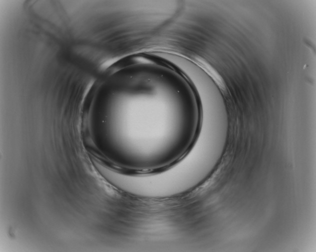 X0000095960956200801111359