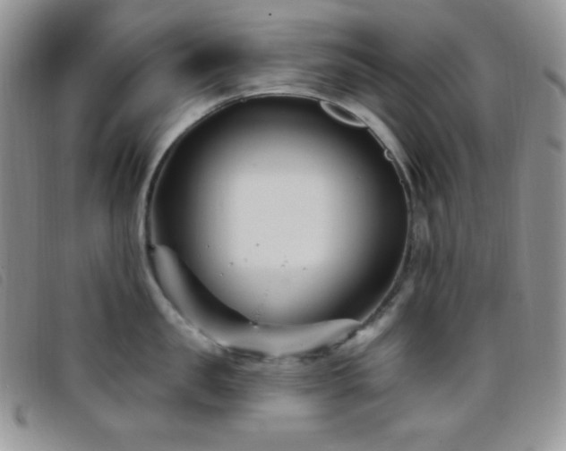 X0000095960957200801111359