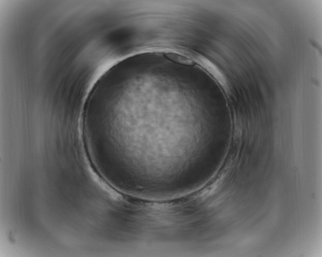 X0000095960958200801111359