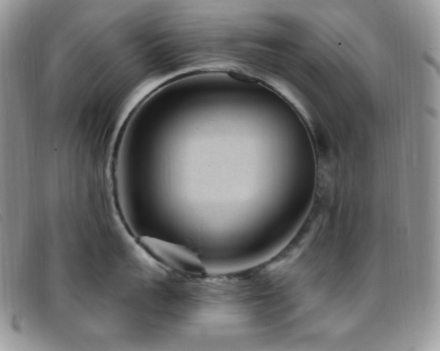 X0000095960959200801111359
