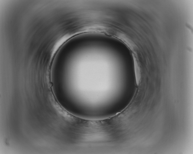 X0000095960960200801111359