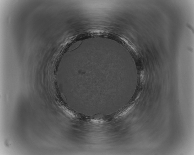 X0000095960961200801111359