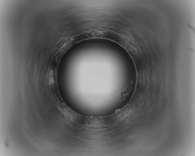 X0000095960962200801111359