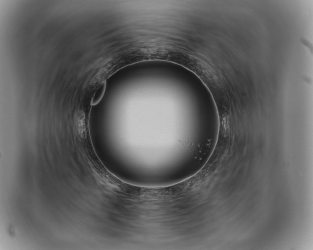 X0000095960963200801111359