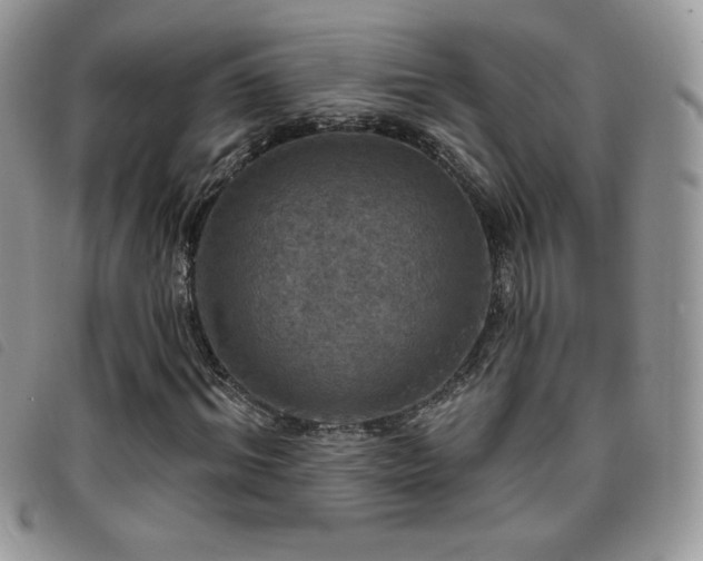 X0000095960964200801111358
