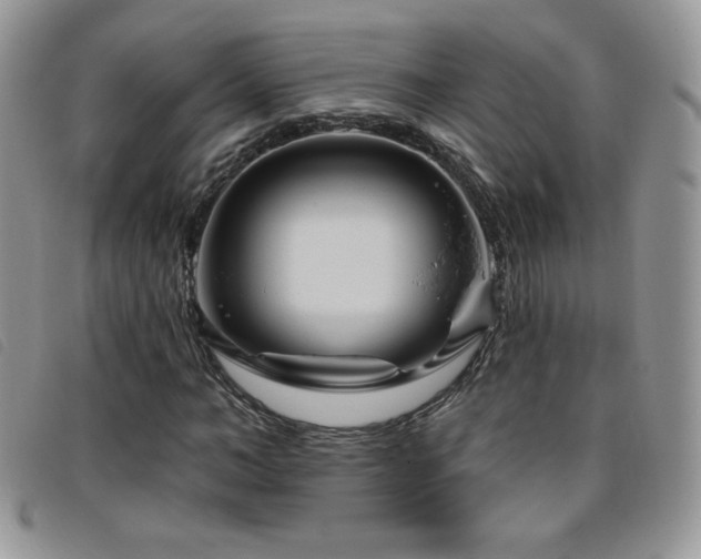 X0000095960966200801111358