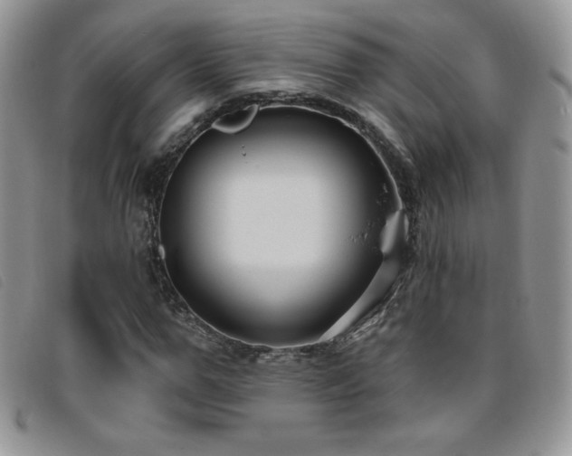 X0000095960967200801111358