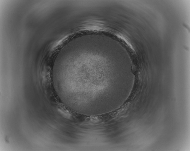 X0000095960968200801111358