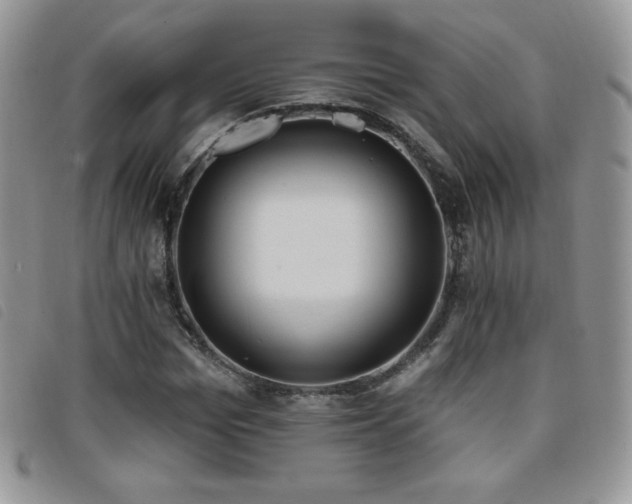 X0000095960969200801111358