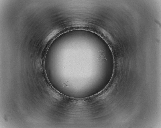 X0000095960970200801111358