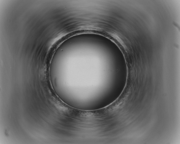 X0000095960971200801111358