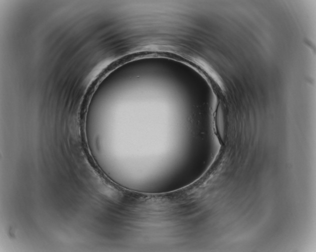 X0000095960972200801111358