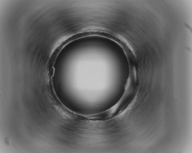 X0000095960973200801111358