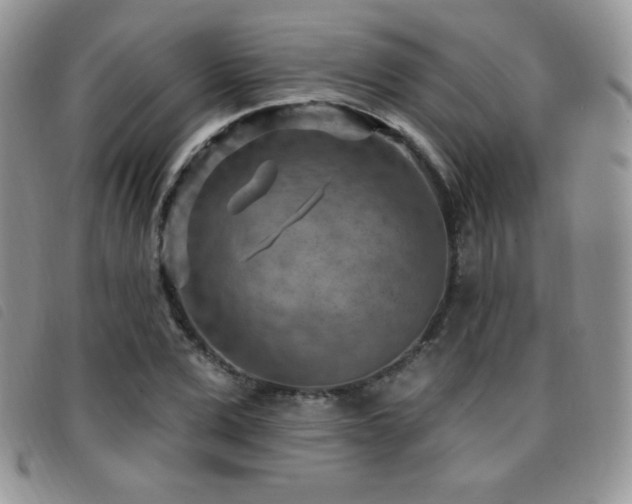 X0000095960975200801111358