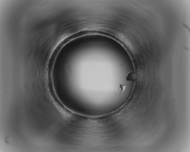 X0000095960976200801111358