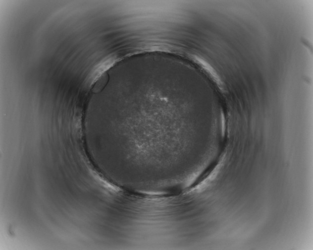 X0000095960977200801111358