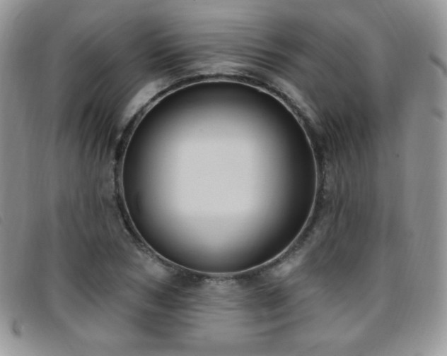 X0000095960978200801111358