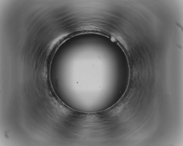 X0000095960979200801111358