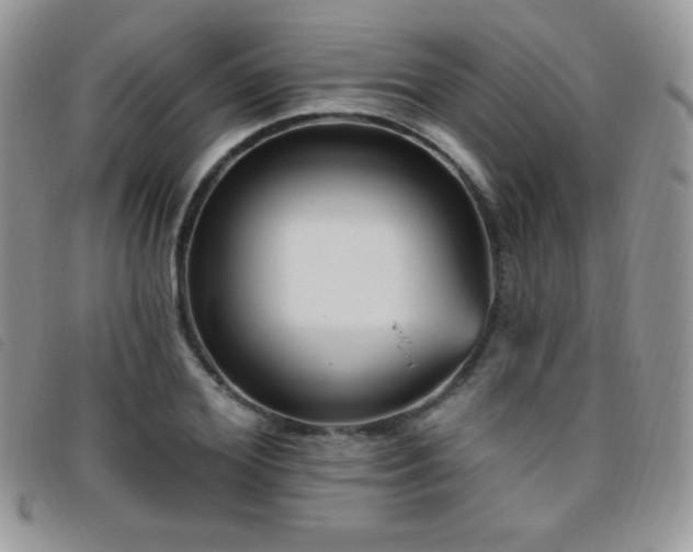 X0000095960980200801111358
