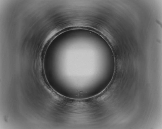 X0000095960982200801111358