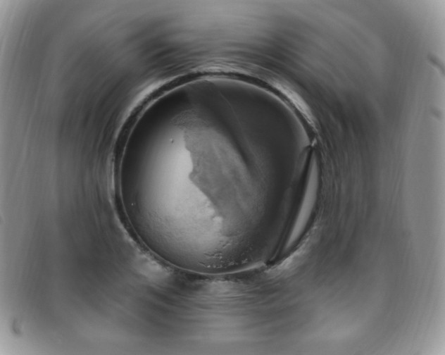 X0000095960984200801111358
