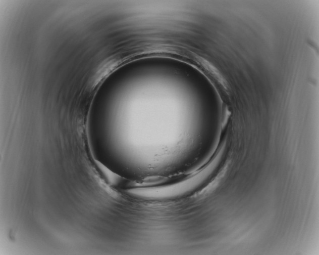 X0000095960985200801111358