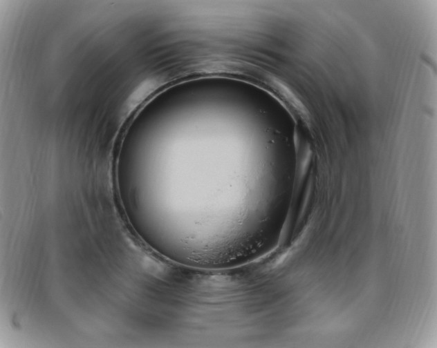 X0000095960986200801111358