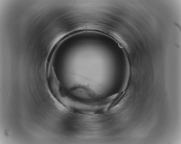 X0000095960988200801111358