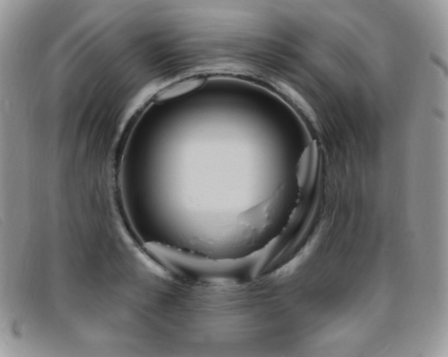 X0000095960989200801111358