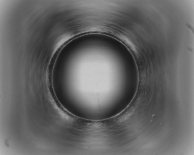 X0000095960991200801111358