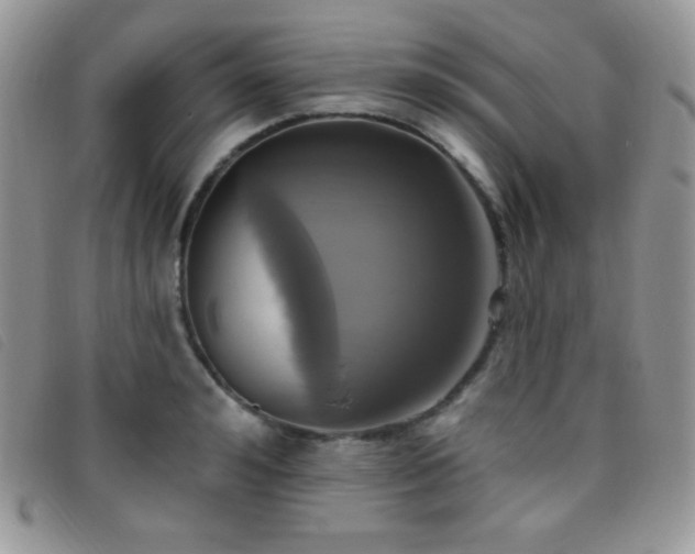 X0000095960992200801111358