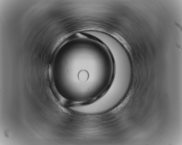 X0000095960993200801111358