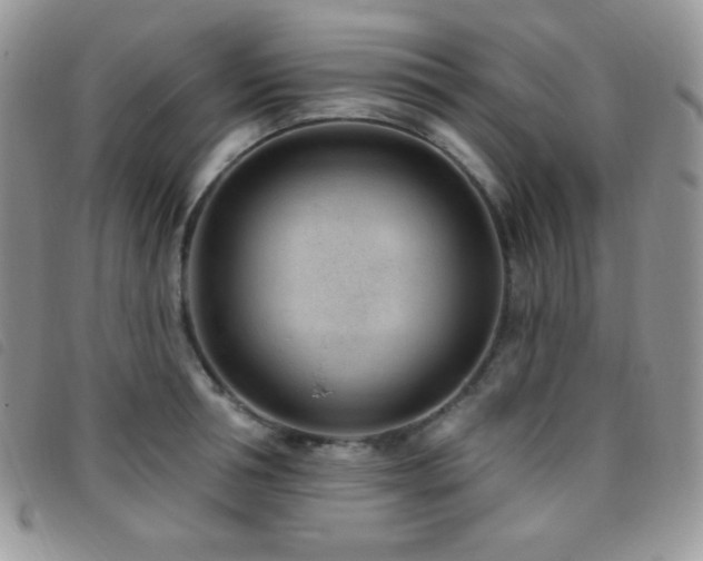 X0000095960994200801111358