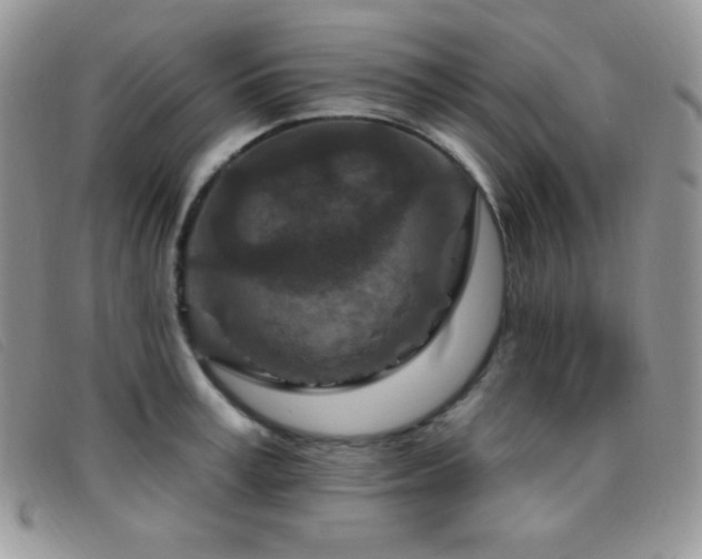 X0000095960995200801111358