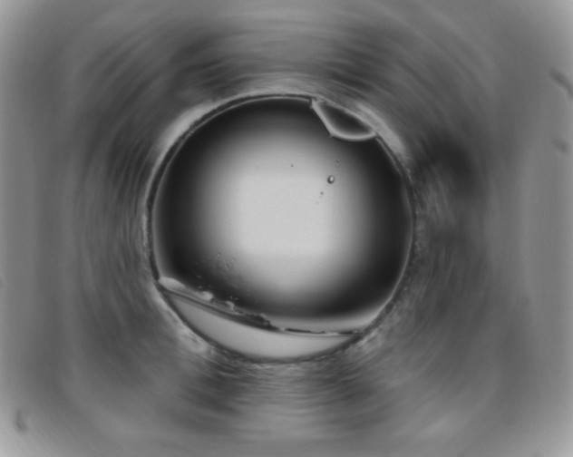 X0000095960996200801111358