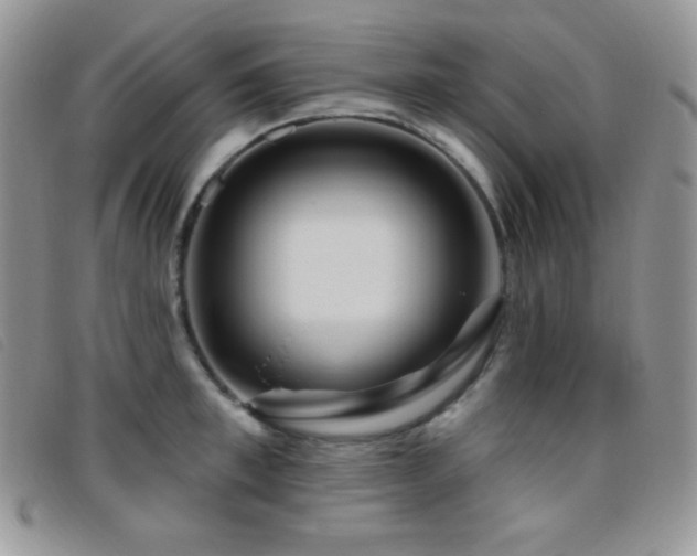 X0000095960997200801111358