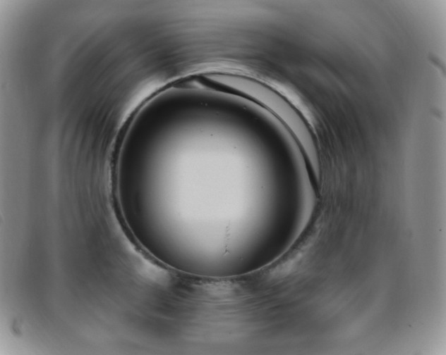 X0000095960999200801111358