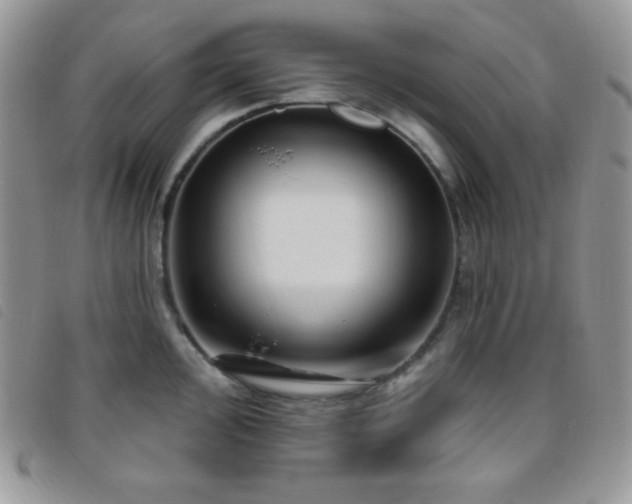 X0000095961000200801111358